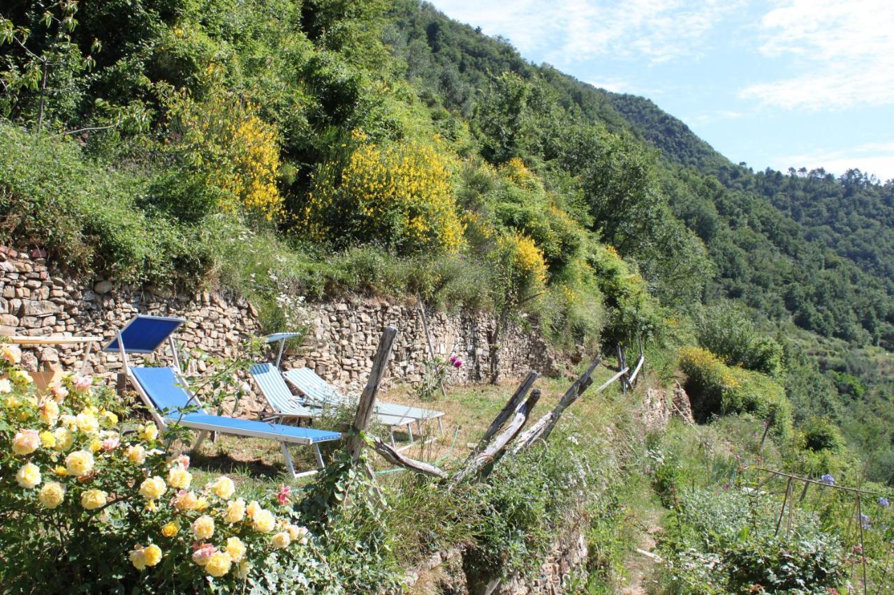 Rural House Villa Vignai Luaran gambar