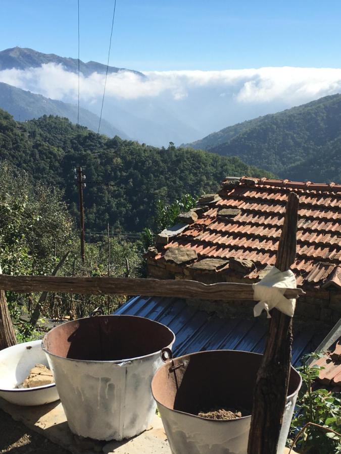 Rural House Villa Vignai Luaran gambar