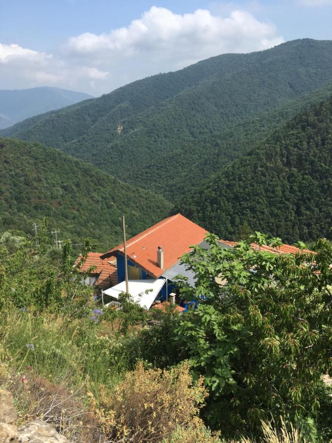 Rural House Villa Vignai Luaran gambar